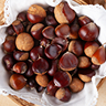 Horse chestnut extract