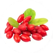 Goji Berries