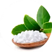 Stevia Leaf