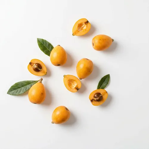 Loquat leaf
