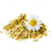 Chamomile